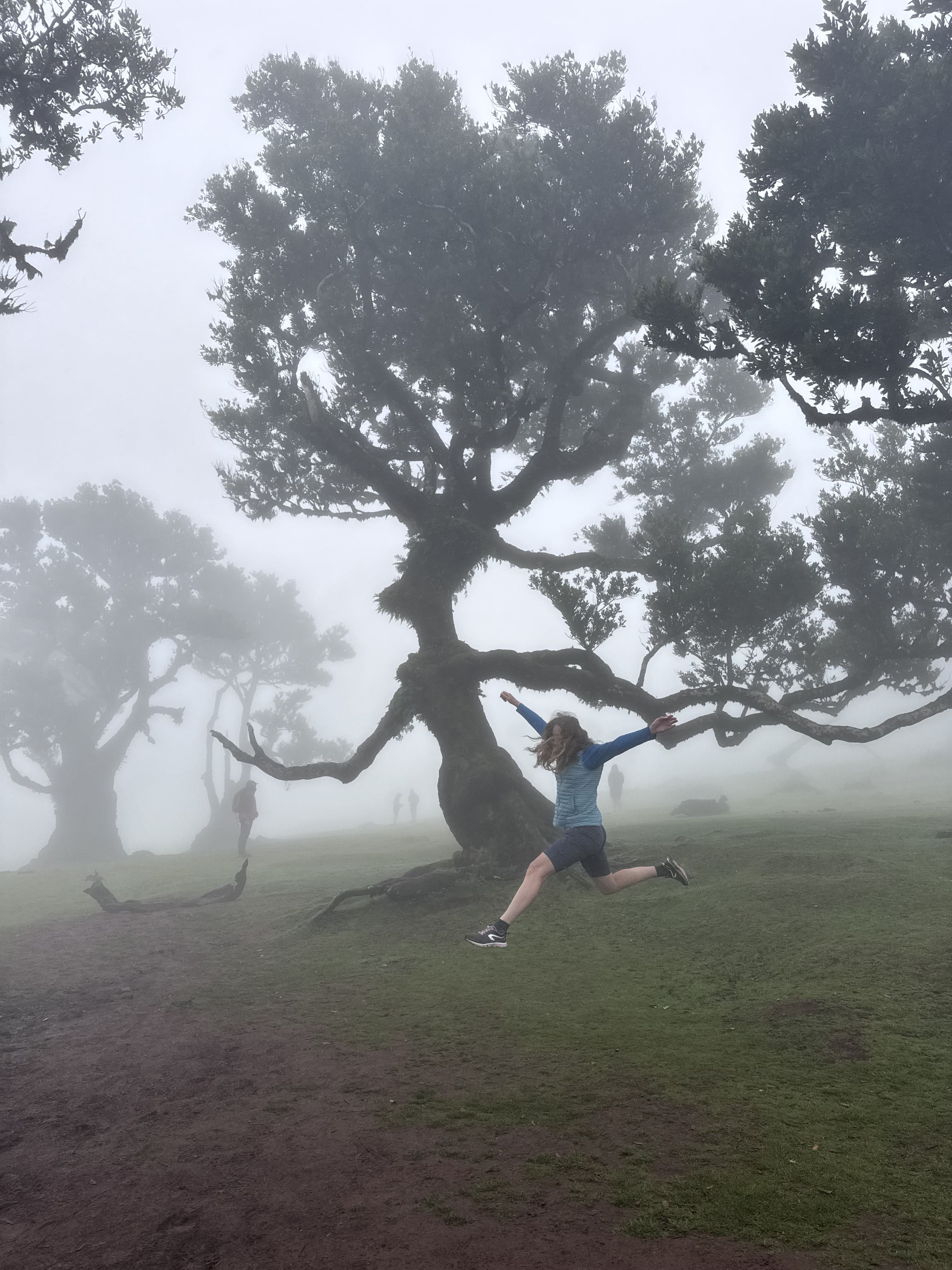 Hiking and Yoga in Madeira with Light Backpacks and Lodge Stays photo 15