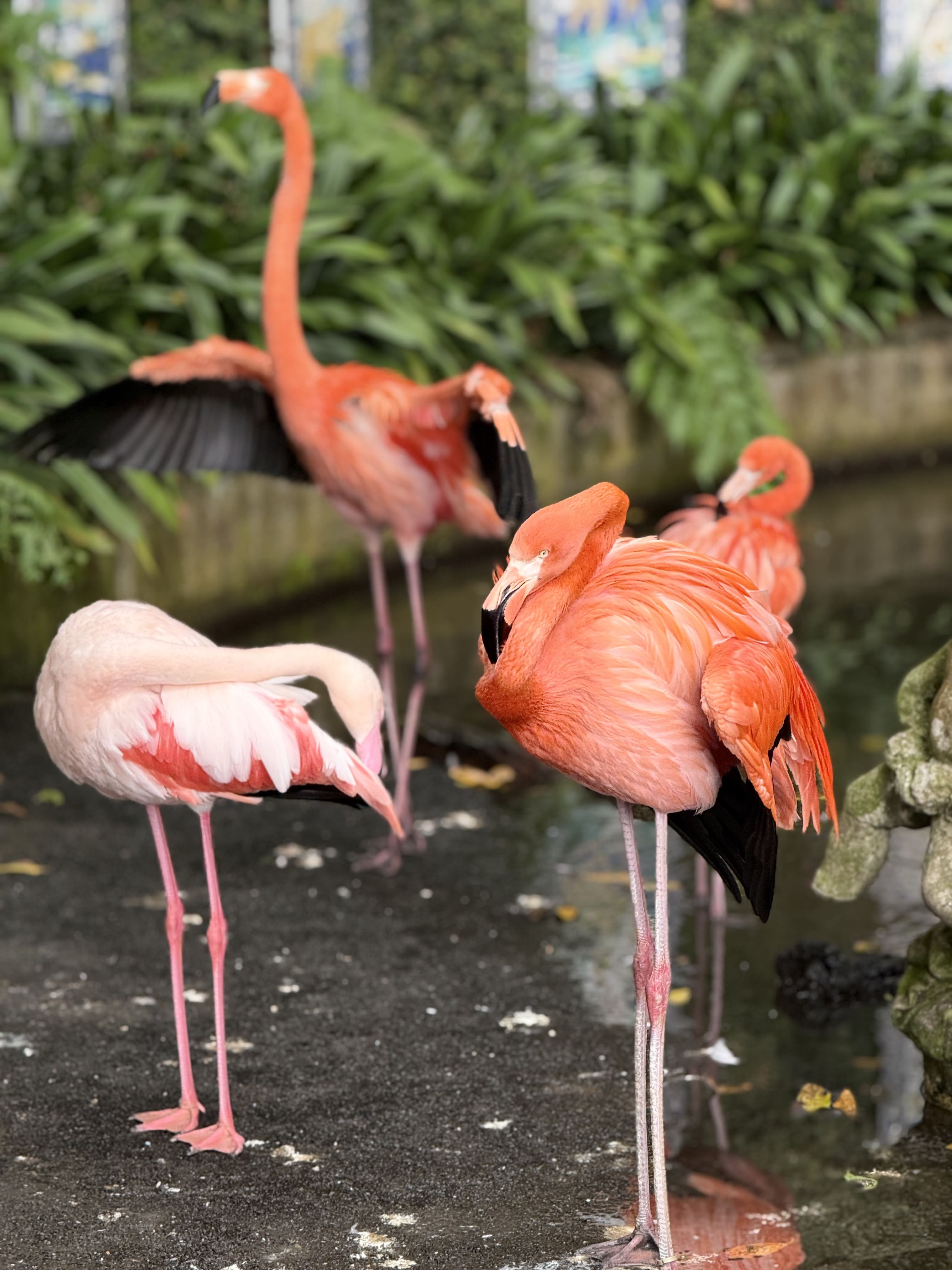 Hiking and Yoga in Madeira with Light Backpacks and Lodge Stays photo 4