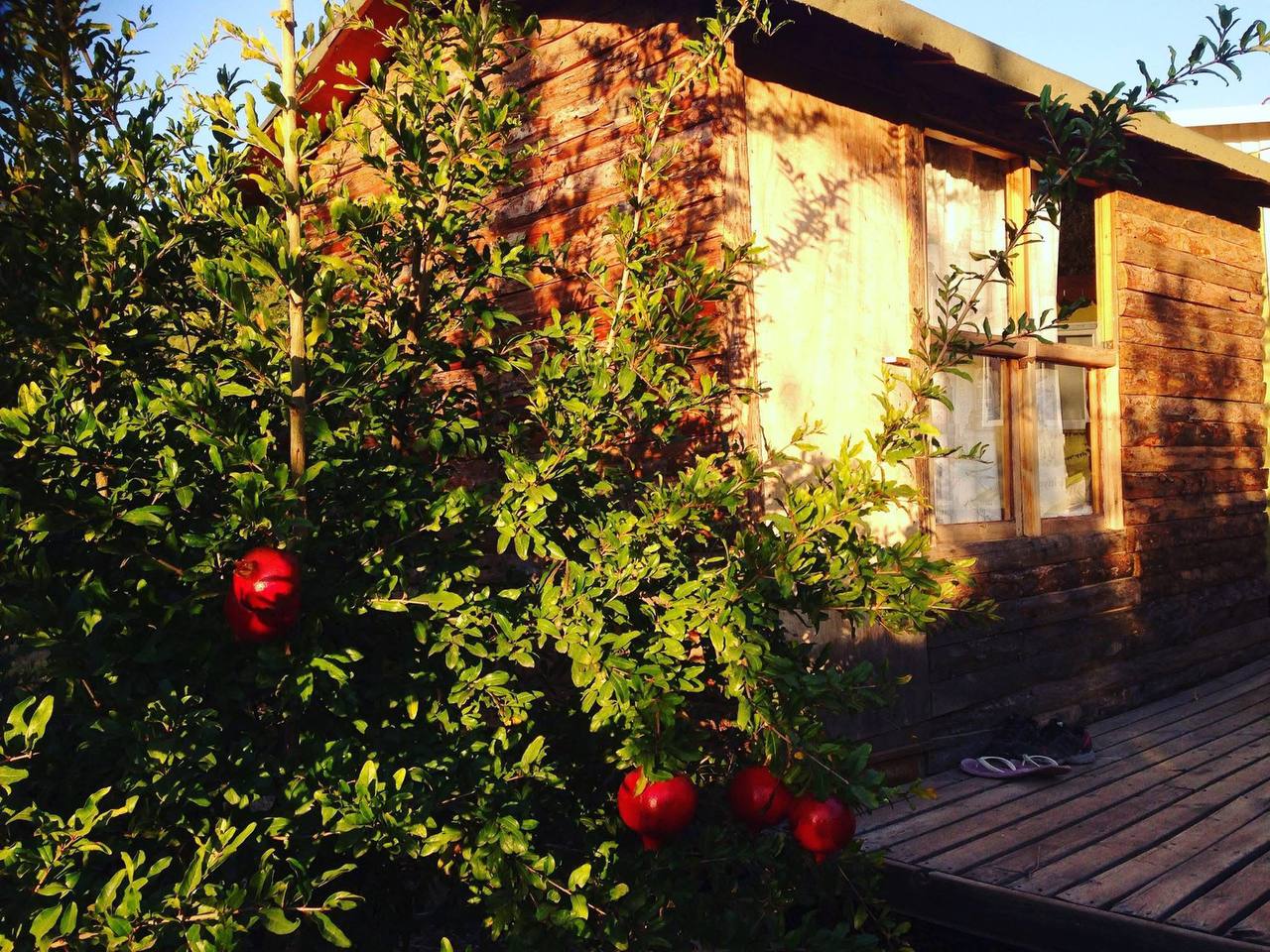 Rock Climbing in Geyikbayiri photo 5